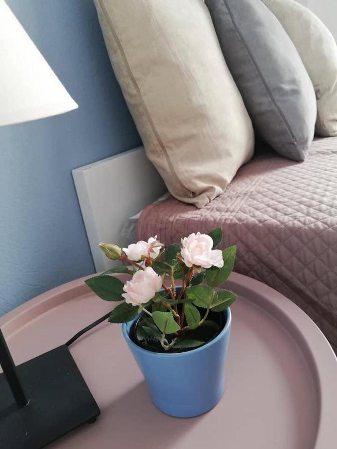 וולוס The Rose Apartment מראה חיצוני תמונה